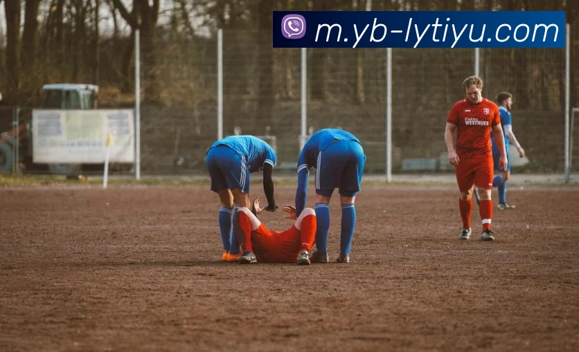 多媒体互动体验